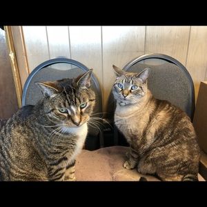 Meet your Posher, Linda